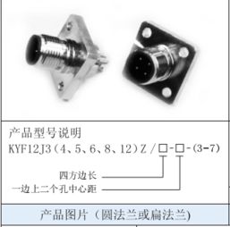 连接未来 上海与连接器的协同进化